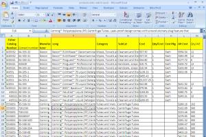 Portfolio for Excel Data cleaning and Sorting